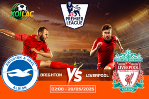 Nhận định cuộc chiến Brighton vs Liverpool lúc 02:00 ngày 20/05